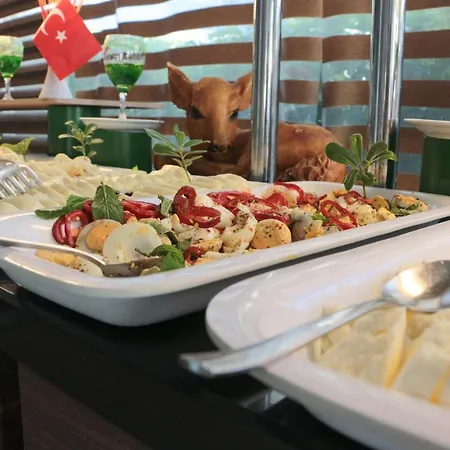 Hotel Hawaii Alanya